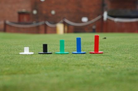 driving range rubber tees