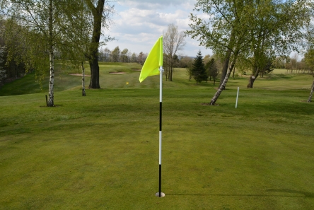 Economy Flag Pole5