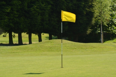 Spin System Flag Pin6